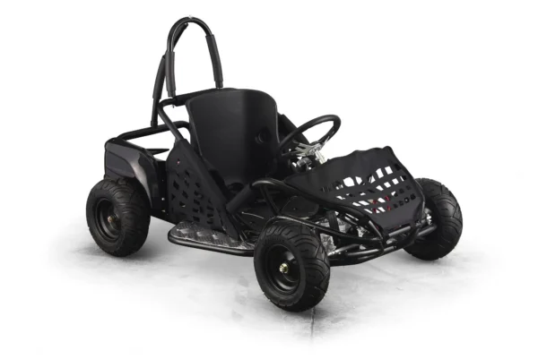 Kart 48V 1000W Negro 3