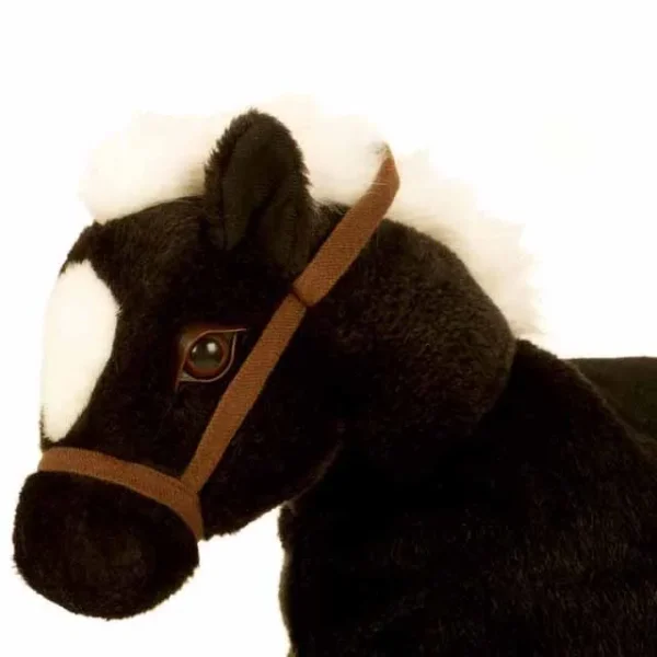 Baby Horse Negro 4