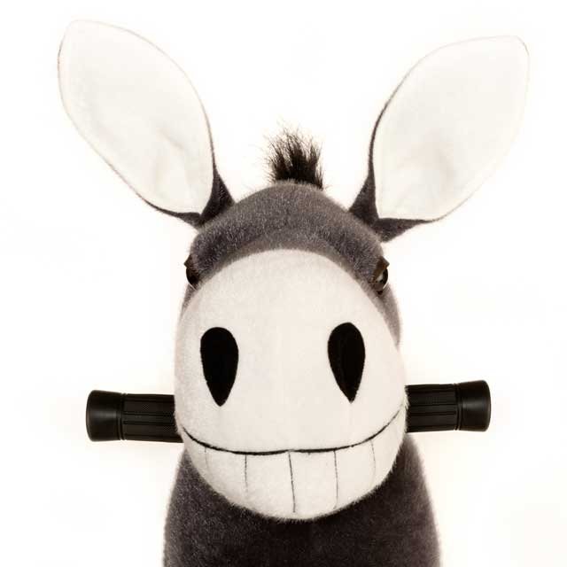 burro-dundy-m-3.jpg Burro Dundy Mediano Profesional 6