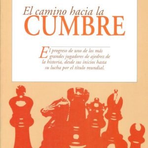 El camino hacia la cumbre