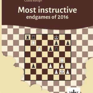 Most instructive endgames of 2016