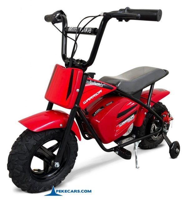 MOTO ELECTRICA 250W 24V Roja 3