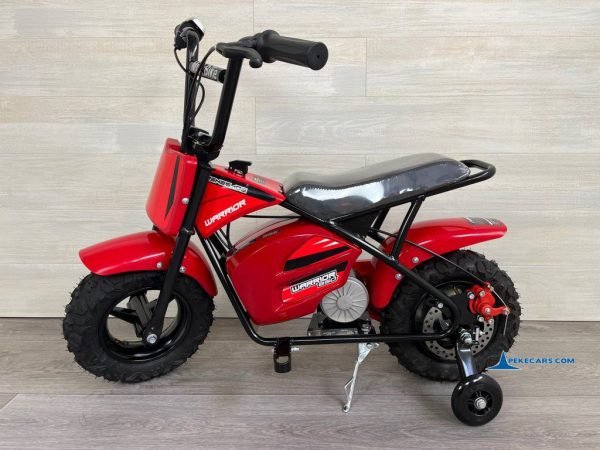 MOTO ELECTRICA 250W 24V Roja 4