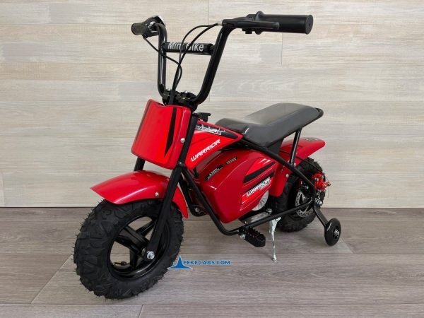 MOTO ELECTRICA 250W 24V Roja 5