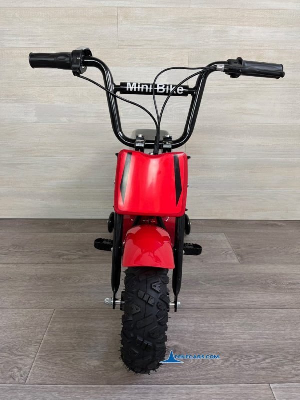 MOTO ELECTRICA 250W 24V Roja 6