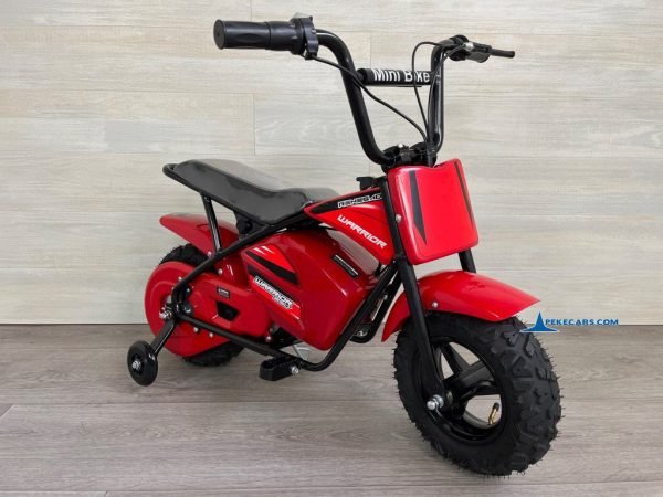 MOTO ELECTRICA 250W 24V Roja 7