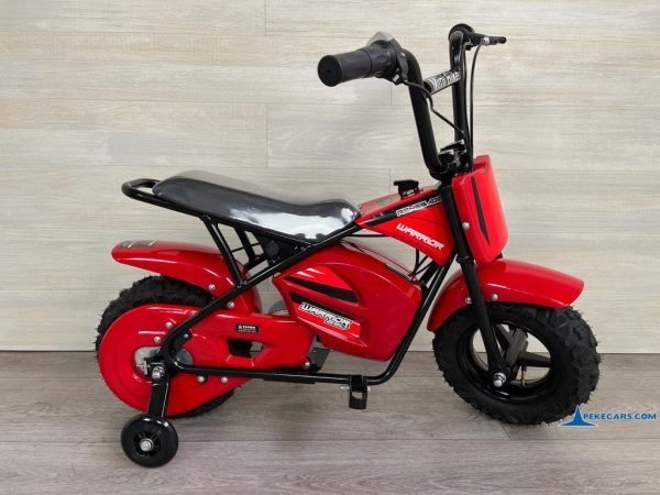 MOTO ELECTRICA 250W 24V Roja 8