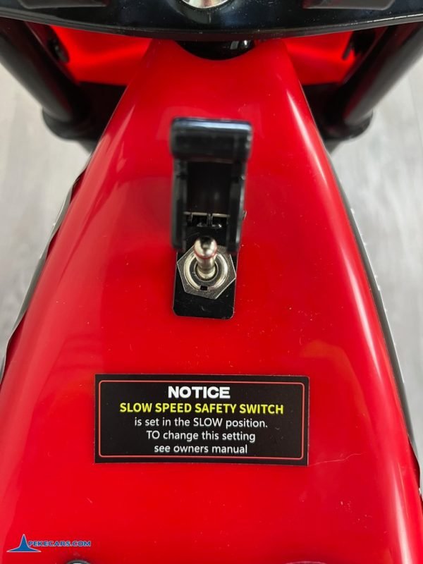 MOTO ELECTRICA 250W 24V Roja 16