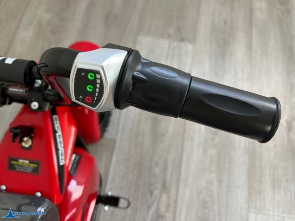 MOTO ELECTRICA 250W 24V Roja 17