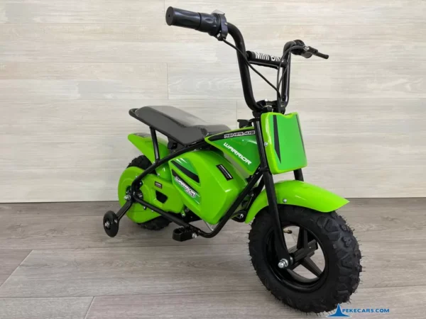 Moto Pekecars 24V 250W Verde 7