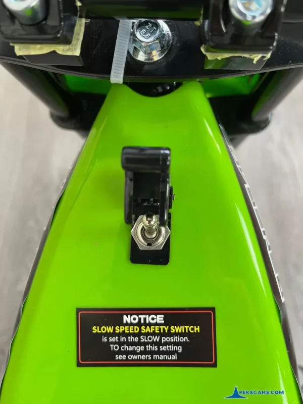 Moto Pekecars 24V 250W Verde 15