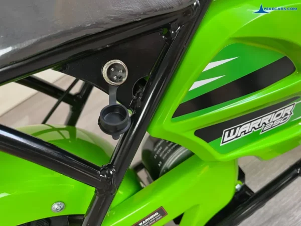 Moto Pekecars 24V 250W Verde 18