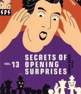SOS Secrets of Opening Surprises Vol. 13
