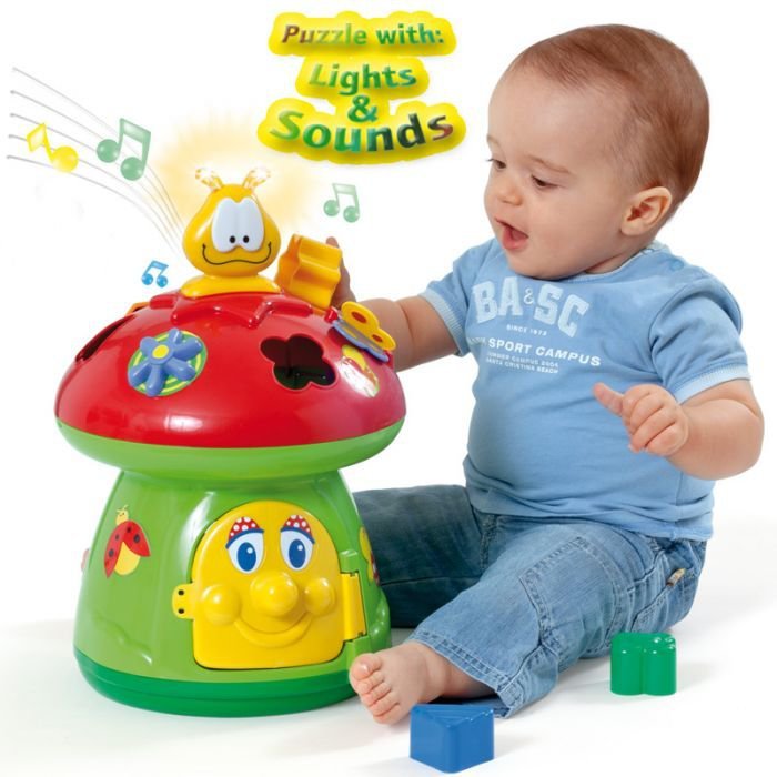 SETA ACTIVIDADES MOLTÓ 2