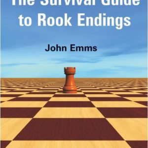 The Survival Guide to Rook Endings